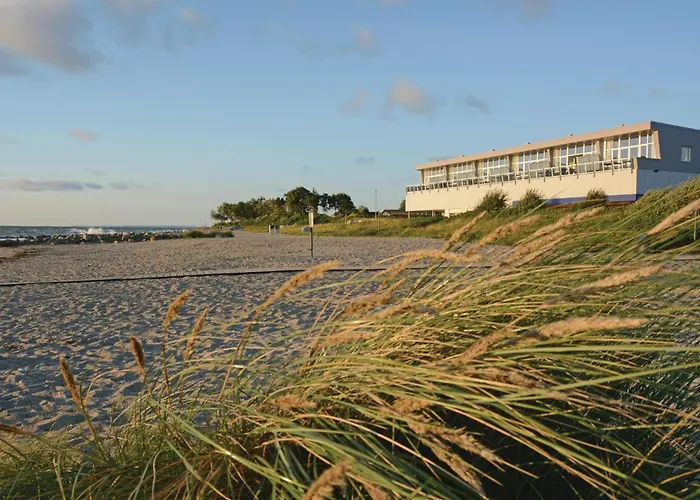 Seestern C * Schönhagen